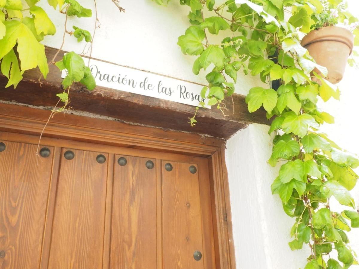 Casa Rural Catifalarga Alpujarra Capileira Exteriör bild