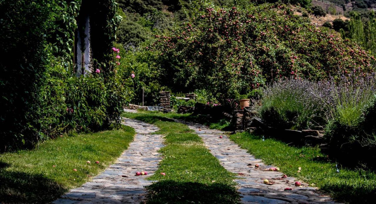Casa Rural Catifalarga Alpujarra Capileira Exteriör bild